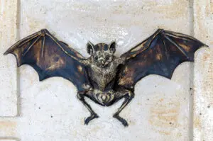 Exposición Surco de Isabel Sánchez en NN Galería