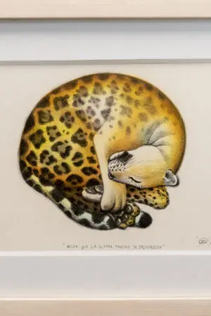 Obra litográfica del artista Daniel Barraza en NN Galería