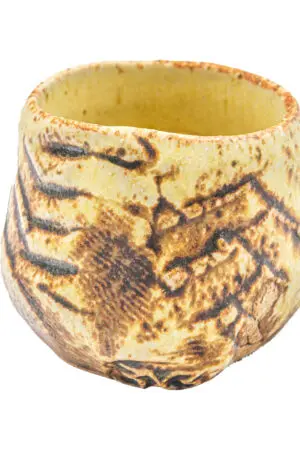 Obra del artista Javier Cervantes en NN Galería