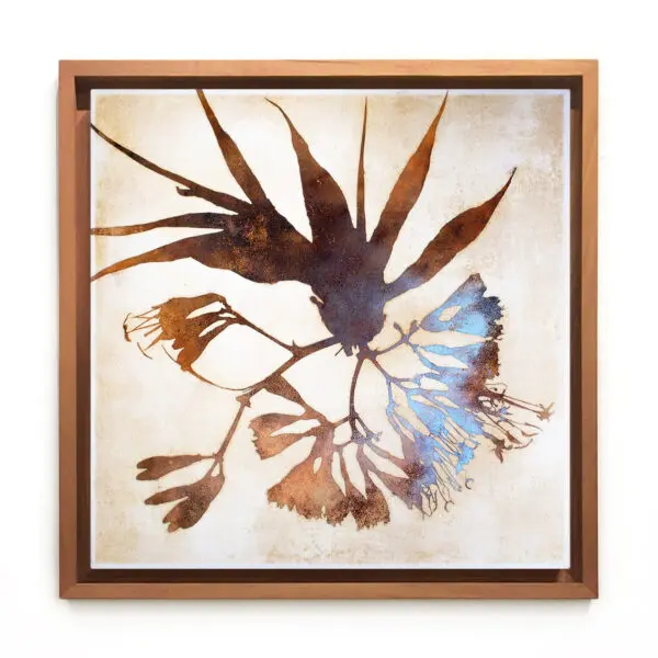 Pintura de Maba en NN Galería